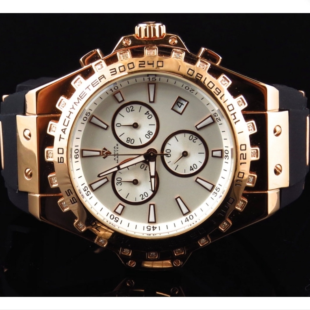 Aqua Master Men's Watch